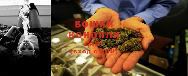ECSTASY Бронницы