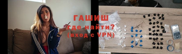 индика Богородск