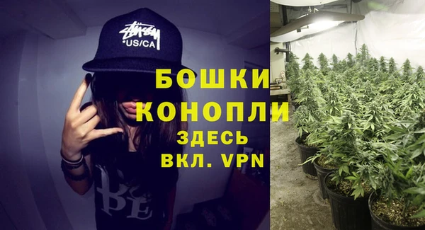 ECSTASY Бронницы