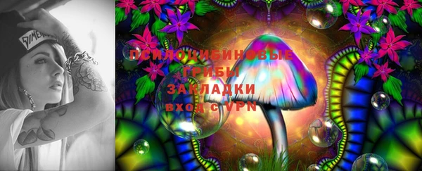 герыч Бородино