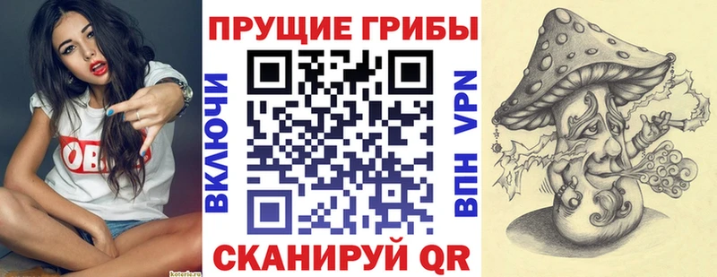 Псилоцибиновые грибы Cubensis цены наркотик Мелеуз